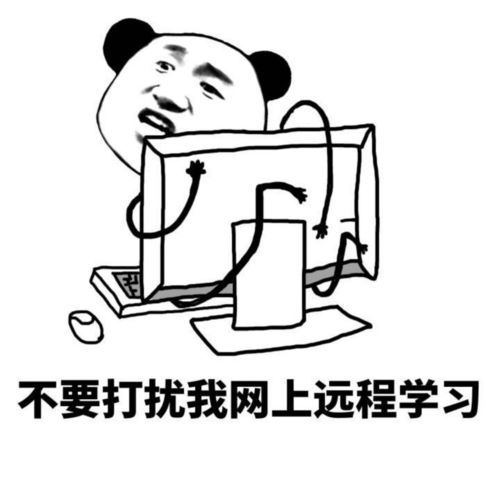 不要打扰我网上远程学习