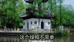 这个绿帽不简单 群员斗图