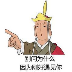 别问为什么 因为刚好遇见你