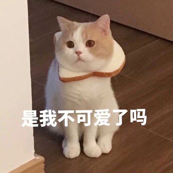 是我不可爱了吗