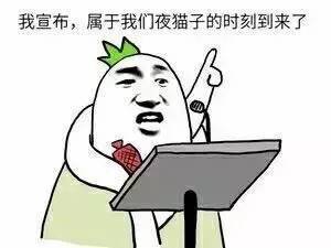 我宣布属于我们夜猫子的时刻到来了
