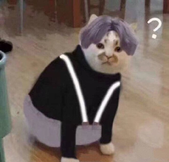 蔡徐猫疑惑