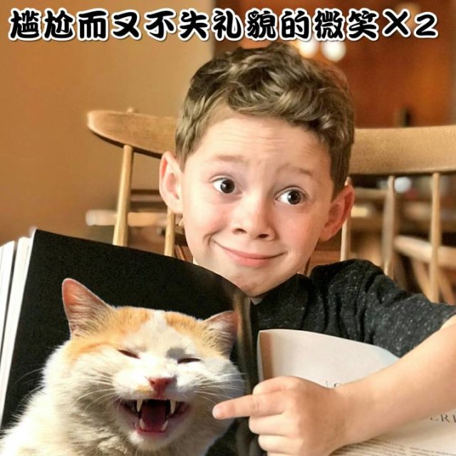 尴尬而不失礼貌的微笑X2