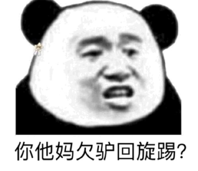 你他妈欠驴回旋踢