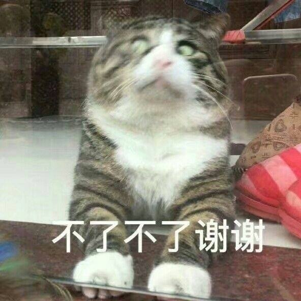 不了不了谢谢