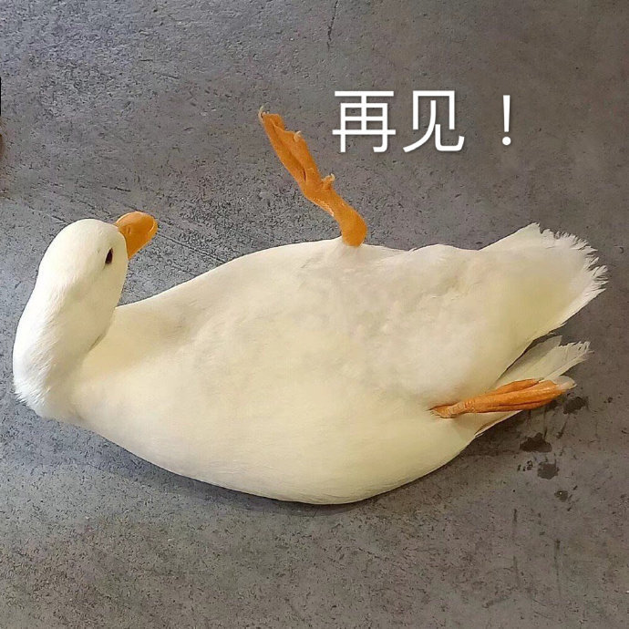 再见