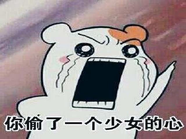 你偷了一个少女的心