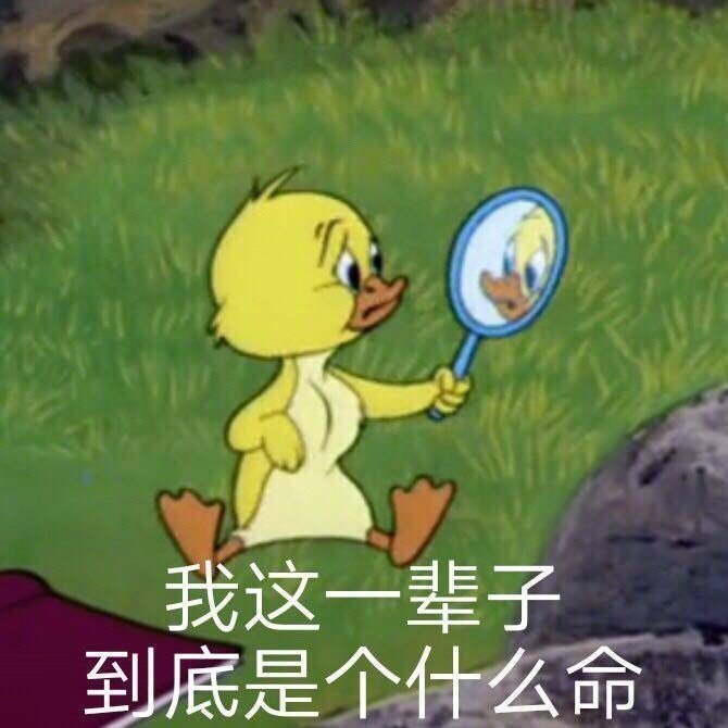 我这一辈子到底是个什么命