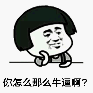 你怎么那么牛逼啊