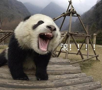 滚啊（熊猫）