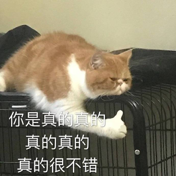 你是真的真的真的真的真的很不错