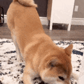 生气