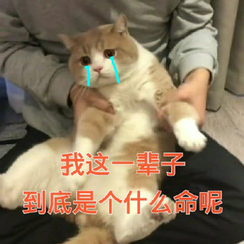 我这一辈子到底是个什么命呢