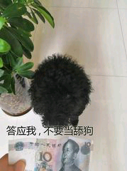 答应我 不要当舔狗