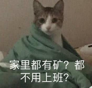 家里都有矿都不用上班