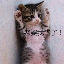 老婆我错了