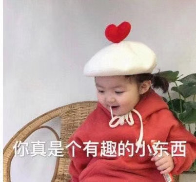 你真是个有趣的小东西