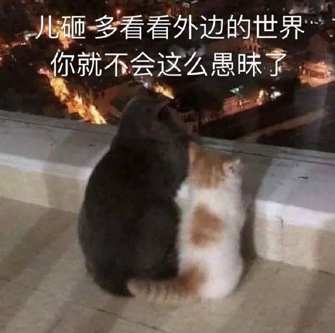 儿砸多看看外边的世界你就不会这么愚昧了
