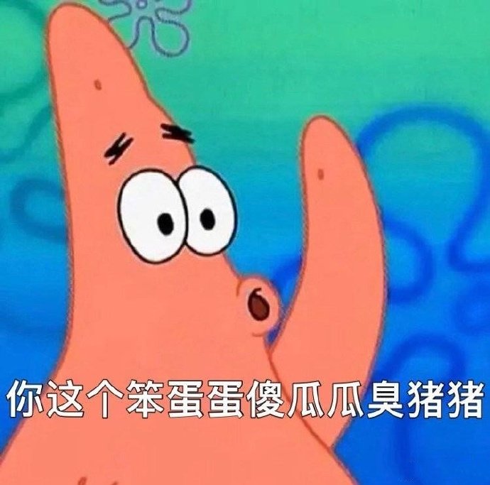 你这个笨蛋蛋傻瓜瓜臭猪猪