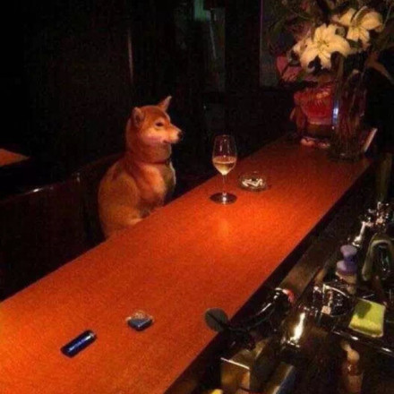 这世界对单身狗简直太刻薄了...