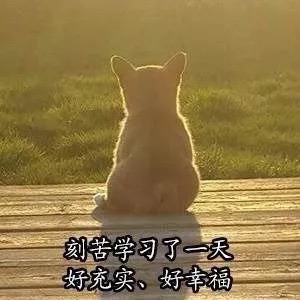 刻苦学习了一天好充实好幸福