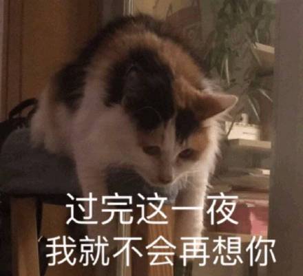 过完这一夜我就不会再想你