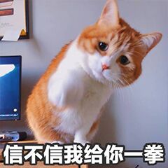信不信我给你一拳