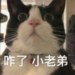 咋了小老弟