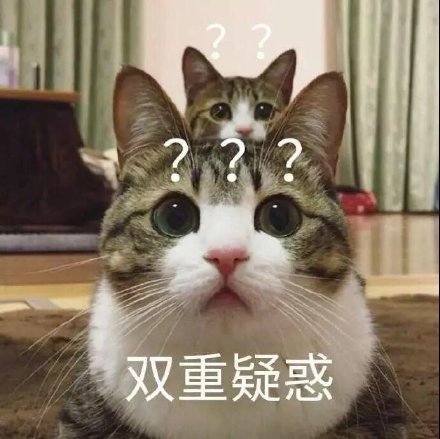 双重疑惑