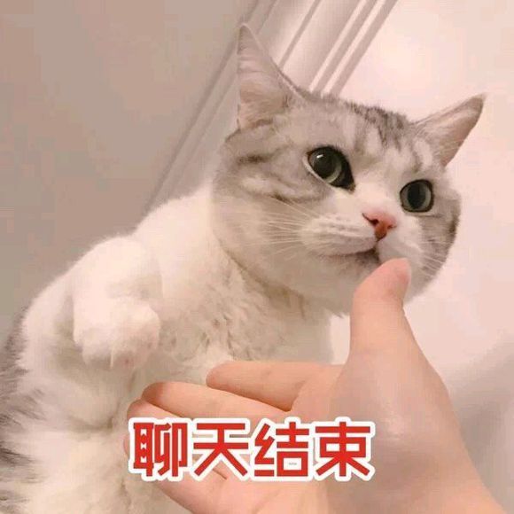 聊天结束