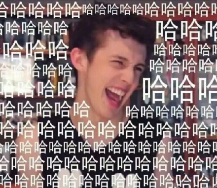 哈哈哈哈