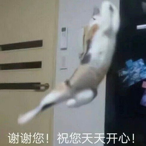 谢谢您祝您天天开心