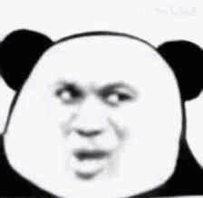 熊猫头唱歌