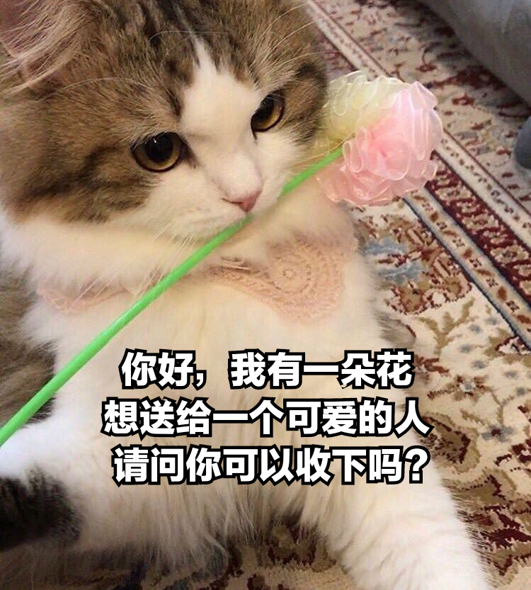 你好我有一朵花想送给一个可爱的人请问你可以收下吗