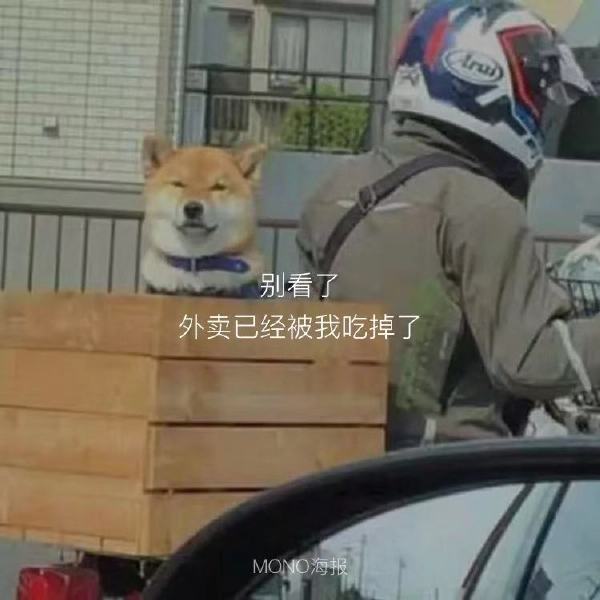 别看了外卖已经被我吃掉了