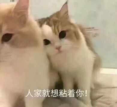 人家就想粘着你