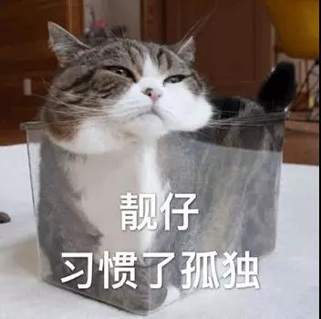 靓仔习惯了孤独