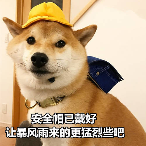 安全帽已经带好让暴风雨来的更猛烈些吧