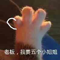 老板 我要五个小姐姐