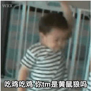 吃鸡吃鸡，你TM是黄鼠狼吗