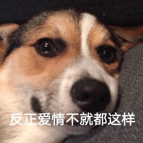 反正爱情不就都这样