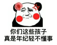 你们这些孩子真是年纪轻不懂事