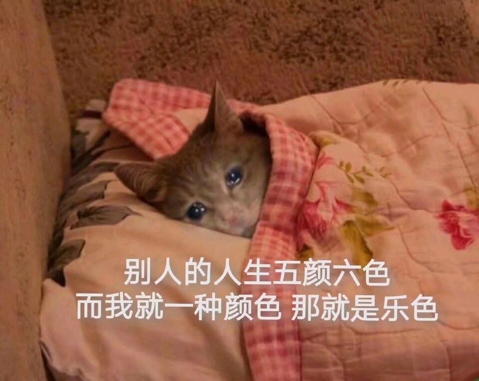 别人的人生五颜六色而我就一种颜色那就是乐色