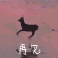再见