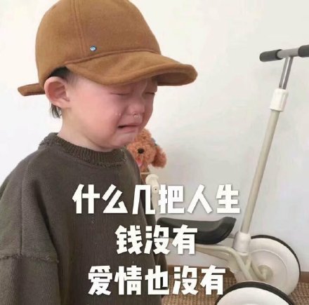 什么几把人生钱没有爱情也没有