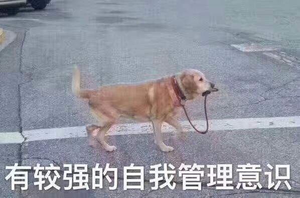 有较强的自我管理意识