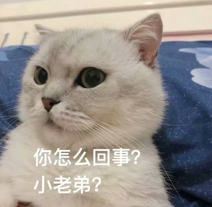 你怎么回事小老弟