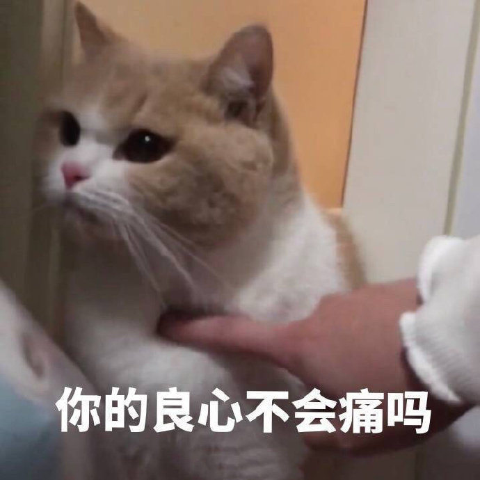 你的良心不会痛吗