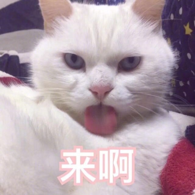 来啊