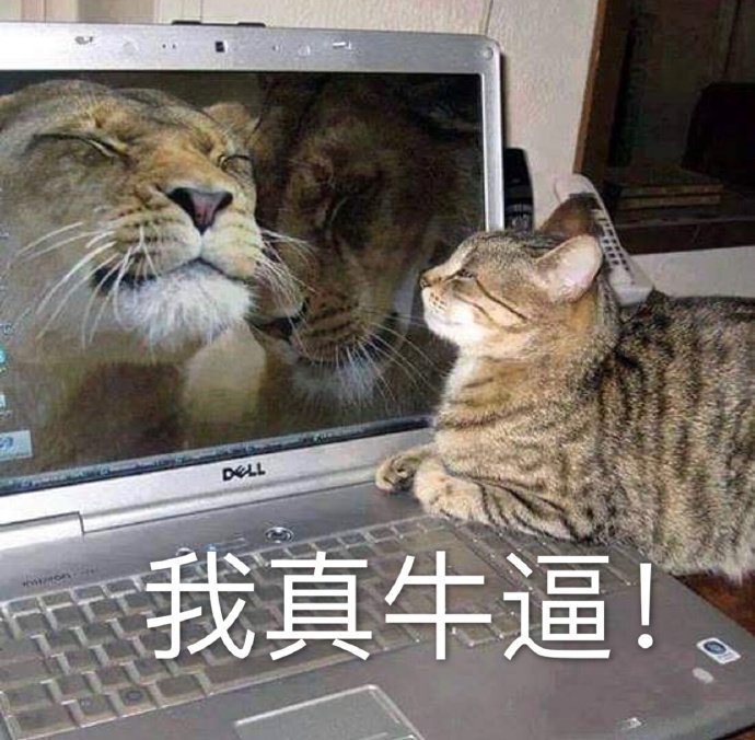 我真牛逼